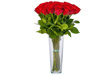 Roosikimp 15tk, 30cm - 1