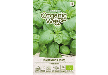 Basiilik Italiano Classico