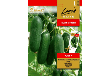 Harilik lühiviljaline kurk Pony H