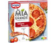 Külm.pitsa salaami DR.OETKER, 380g