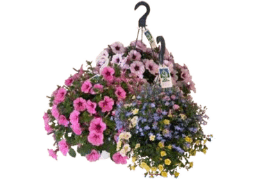 Suvelille ampel 27cm 1tk