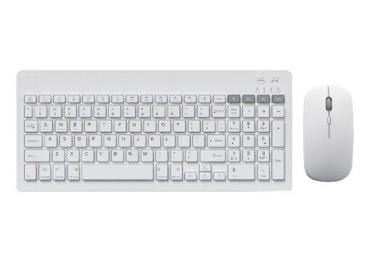 Klaviatuuri ja hiire kmpl OMEGA OKM2658W