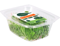 Võrsete segu, 25g