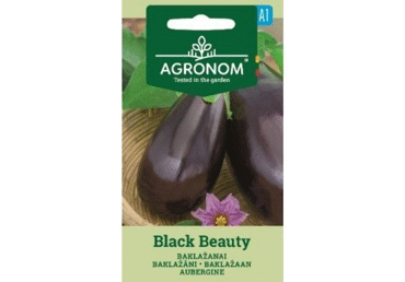 Baklažaan  Black beauty