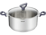 Keedupott kaanega TEFAL 20cm 3L