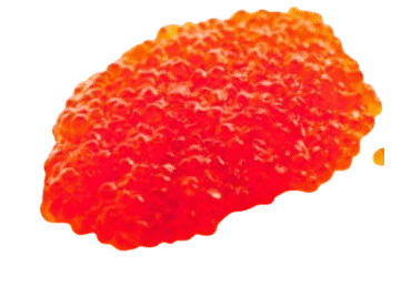 Vikerforellimari KODURANNA 1kg