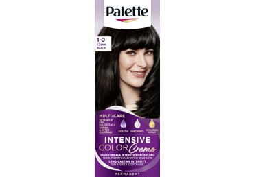 Püsivärv PALETTE ICC 1-0