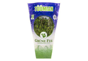 Tüümian GRÜNE FEE