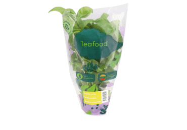 Basiilik potis LEAFOOD