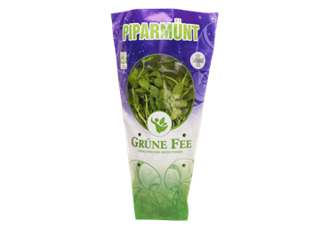 Piparmünt GRÜNE FEE