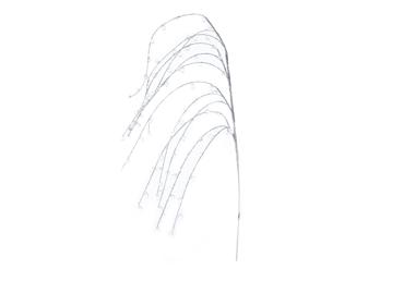 Dekoratiivne oks ELEMENTS, valge 58cm