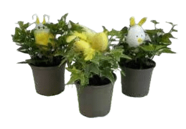 Luuderohi tibuga 9cm, 1tk