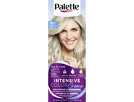 Püsivärv PALETTE ICC 10-1 Ark.Hõbeblond