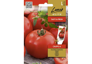 Tomatid Califfo