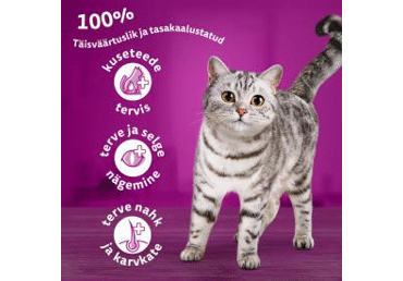 Kuiv kassisööt WHISKAS 1a.+loomaliha800g - 2
