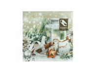 Salvrätikud ELEMENTS 33x33cm, 20tk