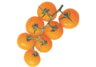 Kobartomat oranž 2.kl.,kg