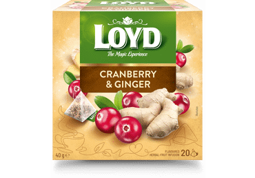 Puuv.tee LOYD jõhv.-ingver pür 20x2g