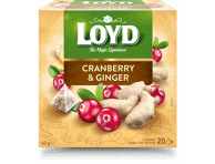 Puuv.tee LOYD jõhv.-ingver pür 20x2g