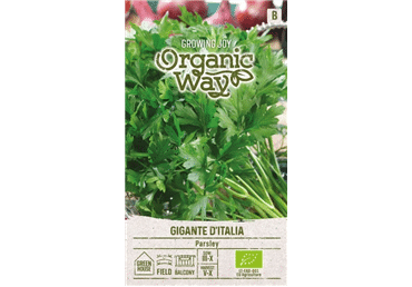 Petersell Gigante D'Italia