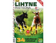Ajakiri Nuti Lihtne Ristsõna