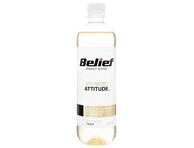 Gas.jook pirnimaitseline BELIEF 530ml