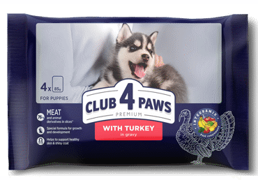 Koeratoit CLUB 4 PAWS kalkun 4x85g