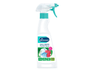 Plekieemaldi DR.BECKMANN Sapiseep 250ml