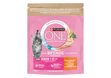 Kuiv kassisööt ONE Junior kana 750g