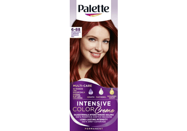 Püsivärv PALETTE ICC 6-88