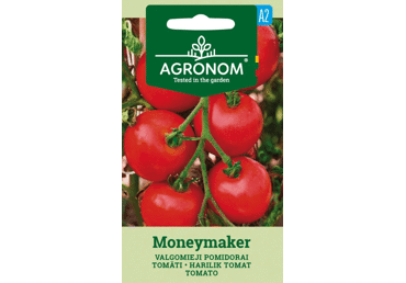 Tomatid Moneymaker