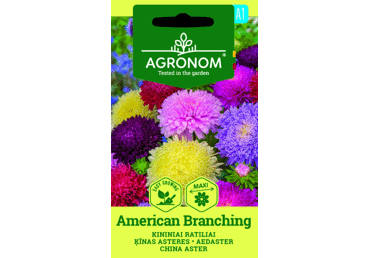 Aedaster  American branching
