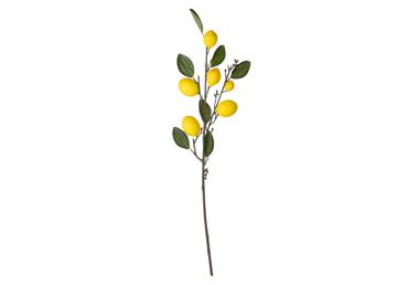 Dekoratsioon ILAJA sidruni oks 58cm