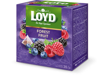 Puuviljatee metsamarjamaits. LOYD 20x2g