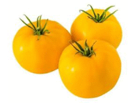 Tomat kollane 1 kl. , kg