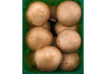 Pruunid šampinjonid pakitud, 250g