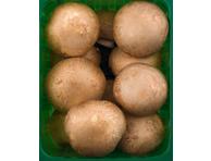 Pruunid šampinjonid pakitud, 250g