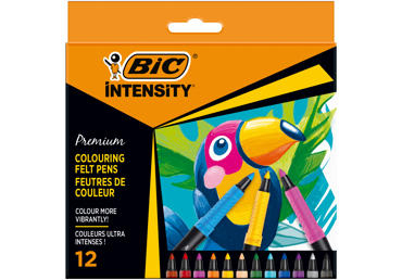 Viltpliiatsid BIC Intensity 12 värvi