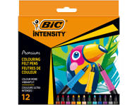 Viltpliiatsid BIC Intensity 12 värvi