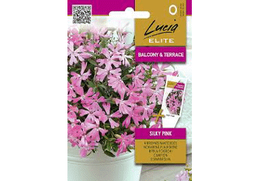 Aubrieeta Silky Pink