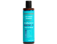 Šampoon PanoramaP.Anti Damage 400ml