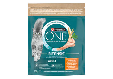 Kuiv kassisööt ONE Adult kana 750g