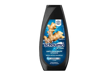Šampoon SCHAUMA Anti-Dandr.Int.Men 350ml
