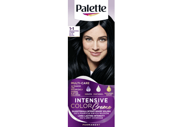 Püsivärv PALETTE ICC 1-1