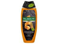 Dušigeel PALMOLIVE CitrusCrush men,500ml
