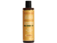 Šampoon PanoramaP.Anti Hair Loss 400ml