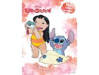 Raamat Lilo & stitch. Värvi veega!