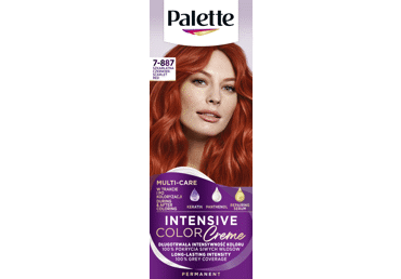 Püsivärv PALETTE ICC 7-887