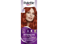 Püsivärv PALETTE ICC RV6