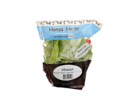 Võisalat potis HANSA HERBS